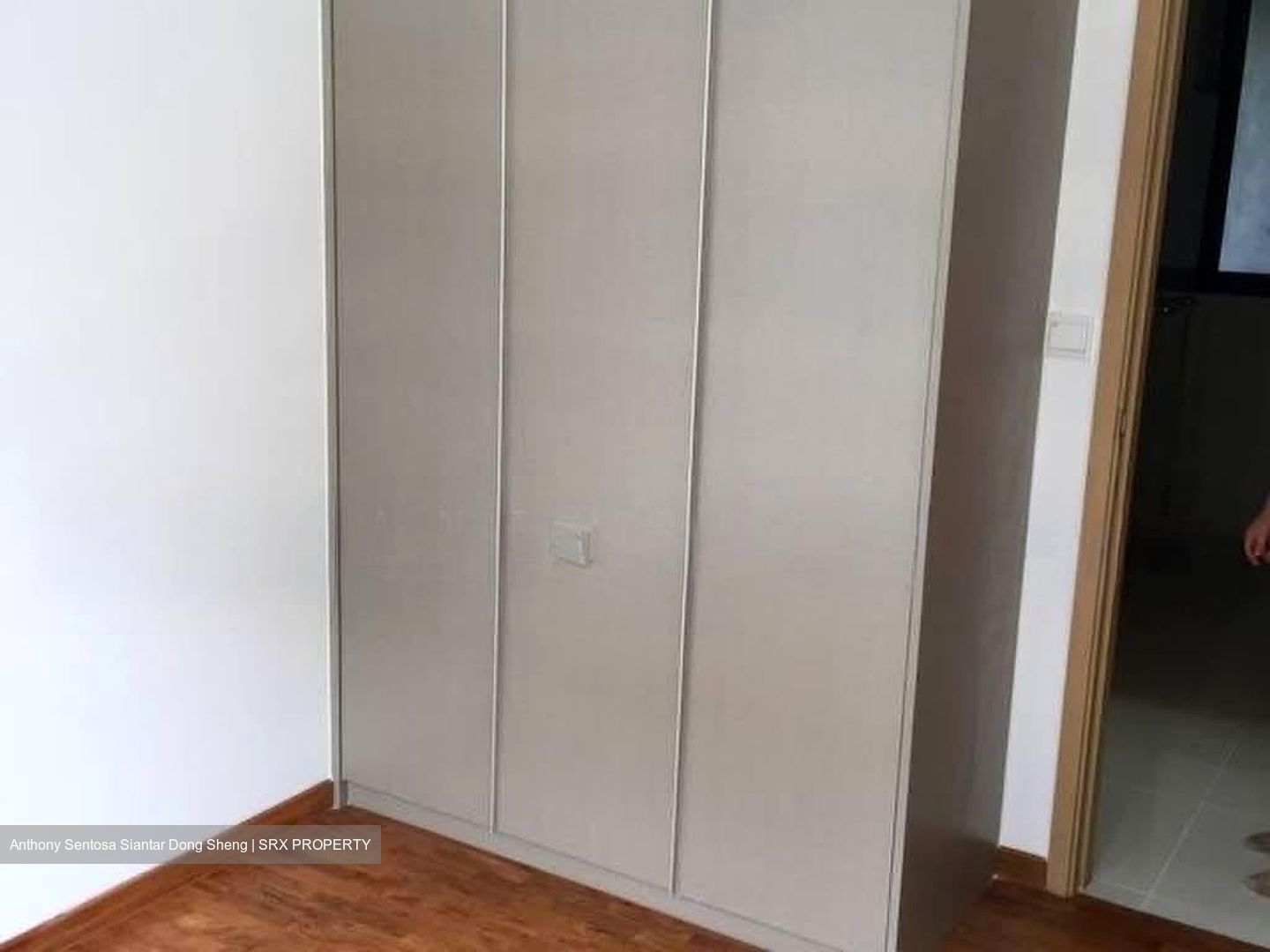 Sky Green (D13), Condominium #583848741